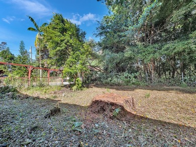Tucked behind a rock wall on 2.13 private acres in Orchid Land - photo 28