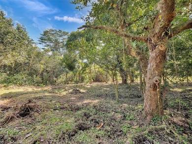Tucked behind a rock wall on 2.13 private acres in Orchid Land - photo 29