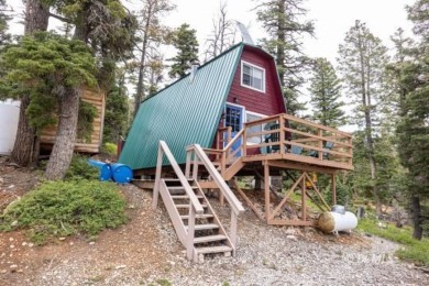 Navajo Lake Home For Sale in Duck Creek Village Utah