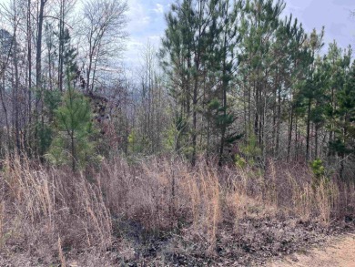  Lot For Sale in Fair Play South Carolina