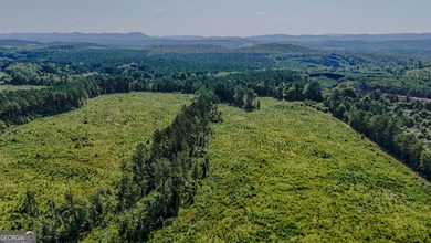 (private lake, pond, coastal) Acreage For Sale in Lyerly Georgia