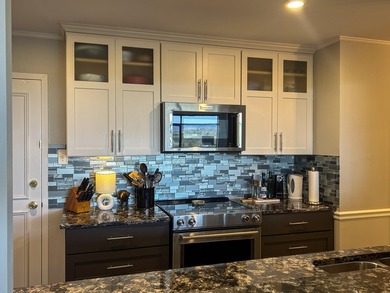 Spectacular Riverview 9th floor condo with panoramic views of - photo 21
