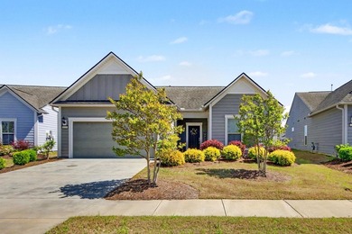 Intracoastal Waterway - Horry County Home For Sale in Myrtle Beach South Carolina