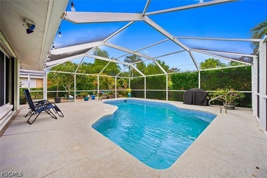 Charming pool home in the highly desirable SE Cape Coral Country - photo 29