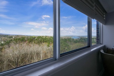 Spectacular Riverview 9th floor condo with panoramic views of - photo 30