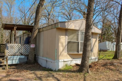 Lake Home For Sale in Mabank, Texas