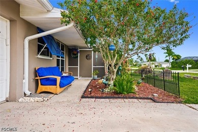 Charming pool home in the highly desirable SE Cape Coral Country - photo 33