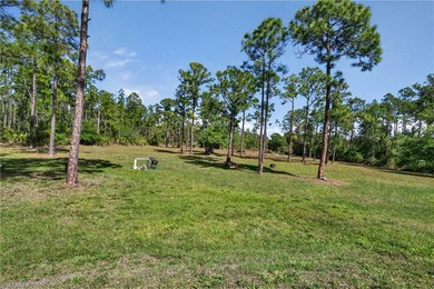 Tucked away on 2.27 acres of cleared upland in Golden Gate - photo 33