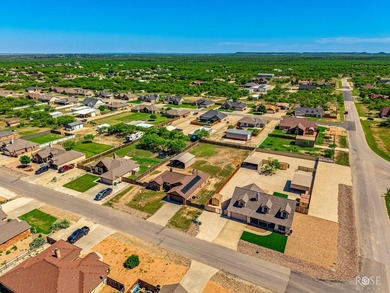 Welcome to peaceful West Texas living! Nestled on a fully fenced - photo 39