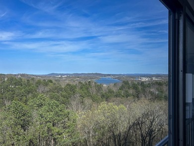 Spectacular Riverview 9th floor condo with panoramic views of - photo 44