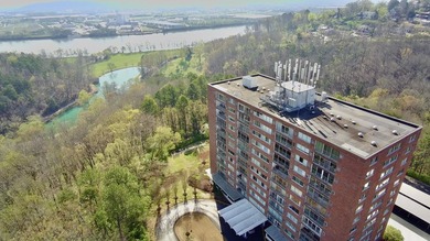 Spectacular Riverview 9th floor condo with panoramic views of - photo 47