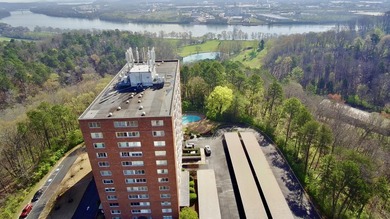 Spectacular Riverview 9th floor condo with panoramic views of - photo 49