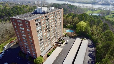 Spectacular Riverview 9th floor condo with panoramic views of - photo 50