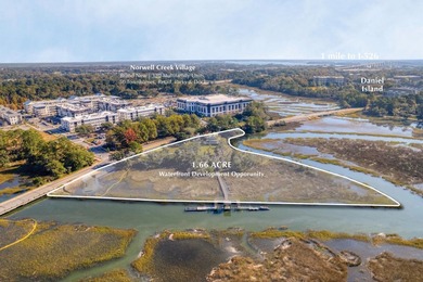 A RARE DANIEL ISLAND DEEPWATER RESIDENTIAL ENCLAVE OPPORTUNITY - photo 1
