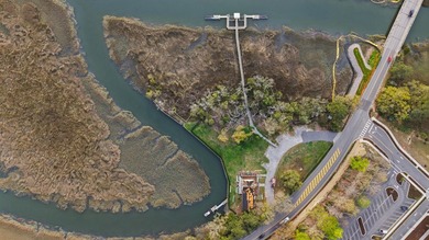 A RARE DANIEL ISLAND DEEPWATER RESIDENTIAL ENCLAVE OPPORTUNITY - photo 7