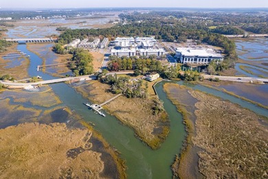 A RARE DANIEL ISLAND DEEPWATER RESIDENTIAL ENCLAVE OPPORTUNITY - photo 10