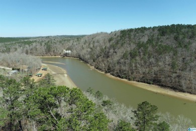 Lake Acreage For Sale in Lineville, Alabama