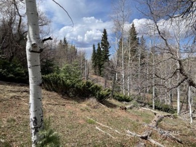 Navajo Lake Lot For Sale in Duck Creek Village Utah