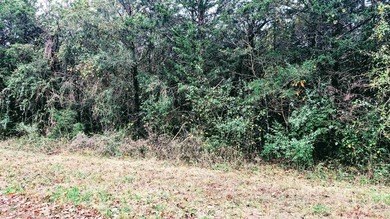 REDUCED $50,000! Beautiful tract of wooded land right on Crown - photo 12