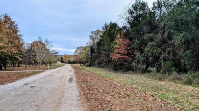 REDUCED $50,000! Beautiful tract of wooded land right on Crown - photo 13