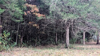 REDUCED $50,000! Beautiful tract of wooded land right on Crown - photo 14