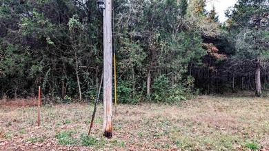 REDUCED $50,000! Beautiful tract of wooded land right on Crown - photo 15
