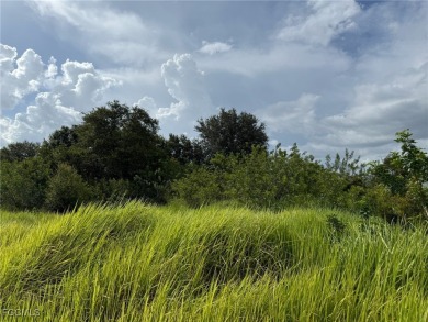 Lake Acreage For Sale in Labelle, Florida