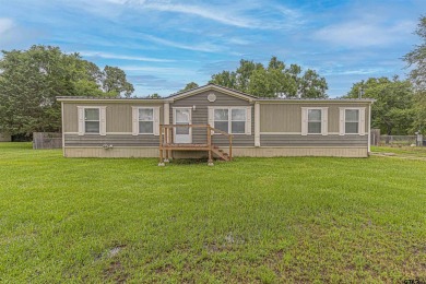 Lake Home For Sale in Chandler, Texas
