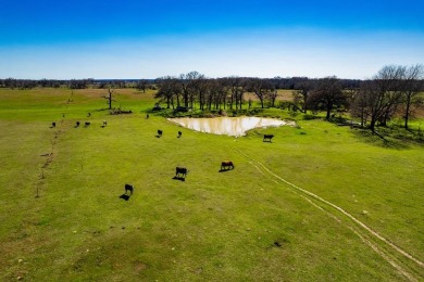 (private lake, pond, creek) Acreage For Sale in Kemp Texas
