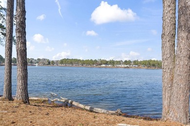 Welcome to 1525 Capella Lane in the desirable Crystal Lake - photo 37