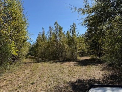 (private lake, pond, creek) Acreage For Sale in Moscow Tennessee