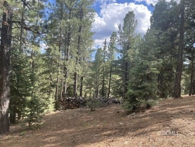 Navajo Lake Lot For Sale in Duck Creek Village Utah