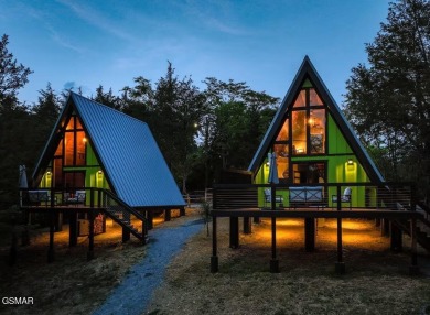 (private lake, pond, creek) Home For Sale in Sevierville Tennessee