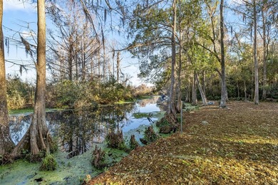 Brand NEW, move-in-ready waterfront pool home completed July - photo 31