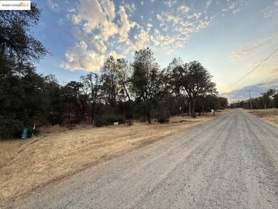 Build your dream home (or compound) on 14.48 acres of oak forest - photo 2