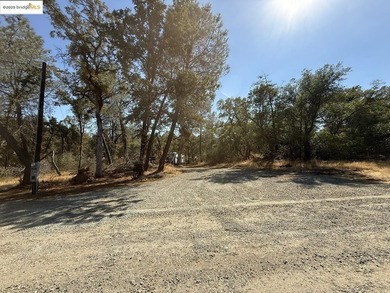 Build your dream home (or compound) on 14.48 acres of oak forest - photo 3