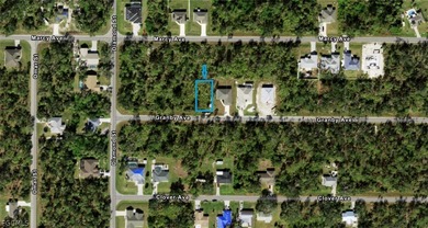 Build your dream home on this spacious 10,012 sq. ft. lot - photo 3