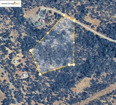 Build your dream home (or compound) on 14.48 acres of oak forest - photo 4