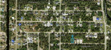 Build your dream home on this spacious 10,012 sq. ft. lot - photo 4