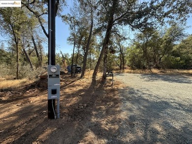 Build your dream home (or compound) on 14.48 acres of oak forest - photo 5