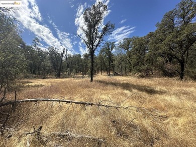 Build your dream home (or compound) on 14.48 acres of oak forest - photo 7