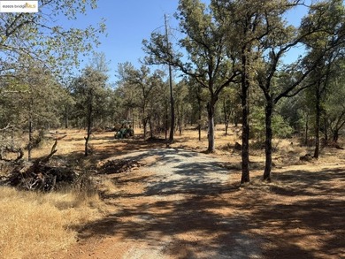 Build your dream home (or compound) on 14.48 acres of oak forest - photo 8