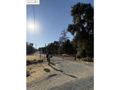 Build your dream home (or compound) on 14.48 acres of oak forest - photo 9