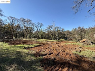 Build your dream home (or compound) on 14.48 acres of oak forest - photo 10