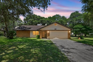 Tsala Apopka Chain of Lakes Home For Sale in Inverness Florida
