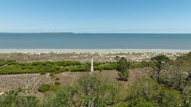 Welcome to Refined Coastal Simplicity on the Port Royal - photo 10