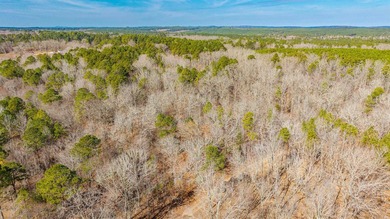 4.08+/- acres of wooded, level land located outside the city - photo 2