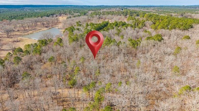 4.08+/- acres of wooded, level land located outside the city - photo 5