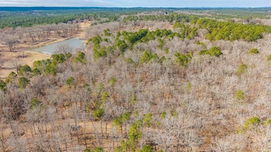 4.08+/- acres of wooded, level land located outside the city - photo 6