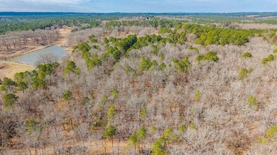 4.08+/- acres of wooded, level land located outside the city - photo 8